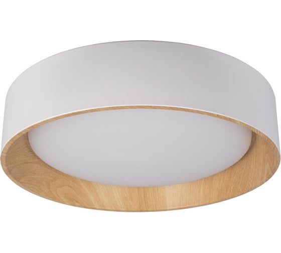 Изображение товара Накладной светильник LOFT IT Coin 10202 White