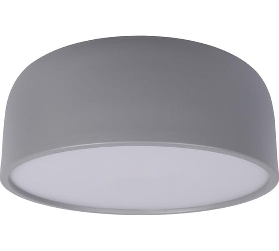 Изображение товара Накладной светильник LOFT IT Axel 10201/350 Grey