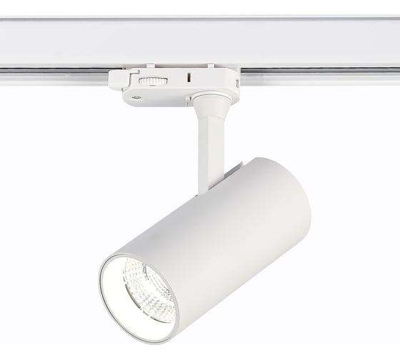 Изображение товара Светильник на штанге ST luce ST661.546.10