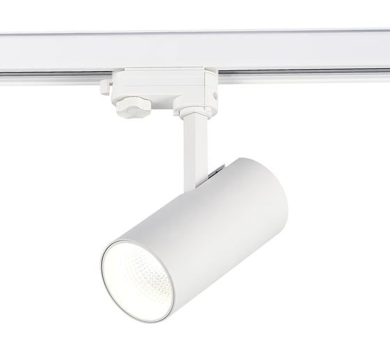 Изображение товара Светильник на штанге ST luce ST661.546.20