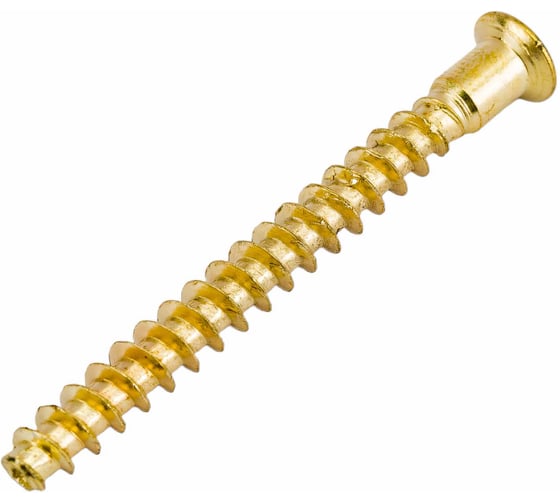 Изображение товара Меб. шуруп-стяжка ЕВРОПАРТНЕР латунир., 5x50 мм, 18 шт. 6 1622 1