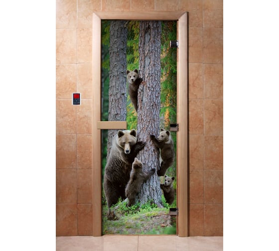 Изображение товара Дверь для бани DoorWood фотопечать, рисунок а064, 2000x800 мм УТ-00014675