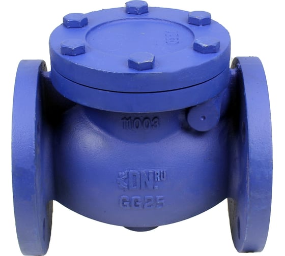 Изображение товара Клапан обратный поворотный DN.ru 302A Ду80 Ру16 фланцевый, чугунный D100-02364