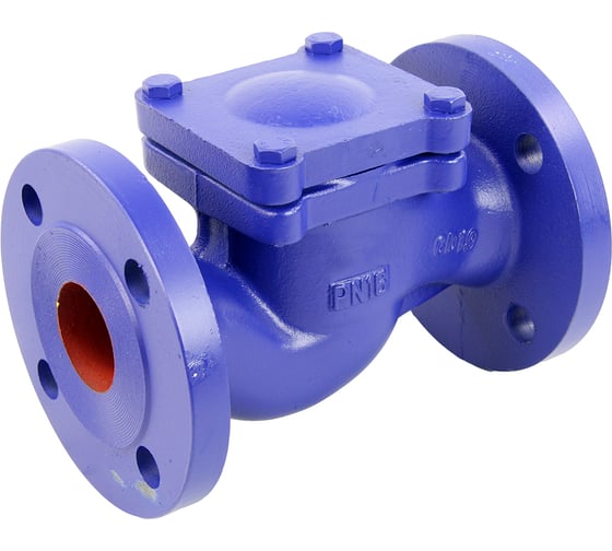 Изображение товара Клапан обратный подъемный DN.ru 287A Ду200 Ру16 фланцевый, чугунный D100-02382