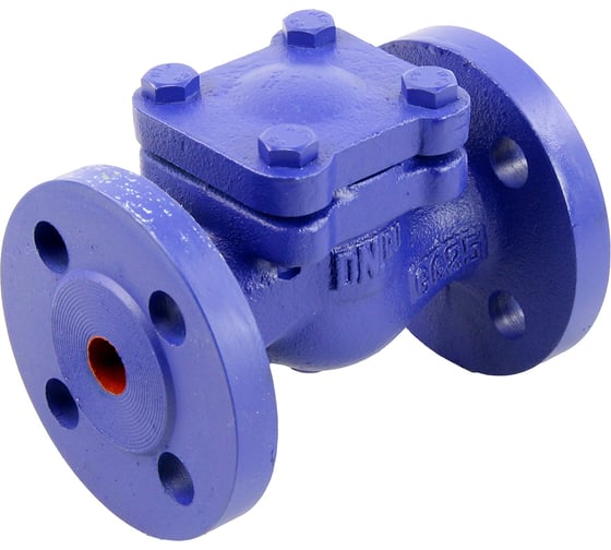 Изображение товара Клапан обратный подъемный DN.ru 287A Ду15 Ру16 фланцевый, чугунный D100-02371