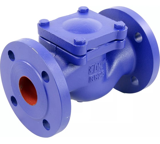 Изображение товара Клапан обратный подъемный DN.ru 287A Ду125 Ру16 фланцевый, чугунный D100-02380