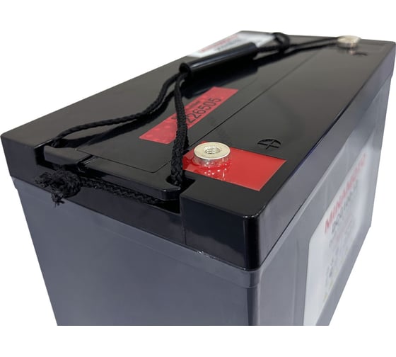 Изображение товара Тяговый моноблок MINAMOTO DCG100-12 (12В, 100Ач) (гель) 596000