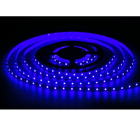 Изображение товара Светодиодная лента MAKSILED 5м, 12В, 4,8Вт/м, 60д/м, ip20, 70Лм/м, синий, 8мм, ML-R60-2835-B-LP-S