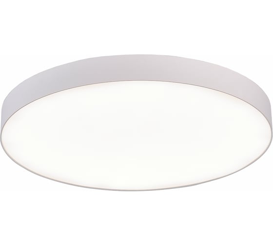 Изображение товара Накладной светильник ST luce ST606.542.96