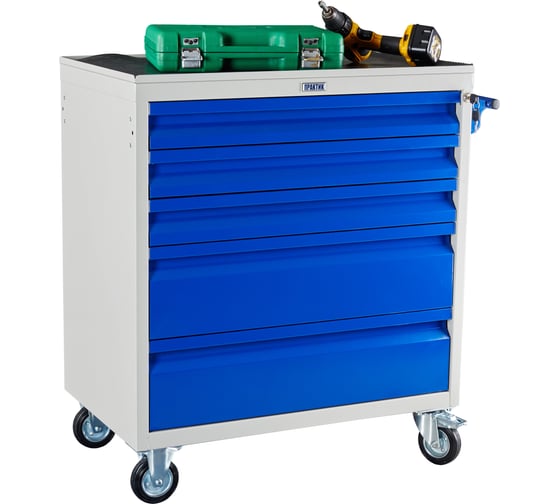 Изображение товара Тележка инструментальная Практик WDS-5 S30299025546