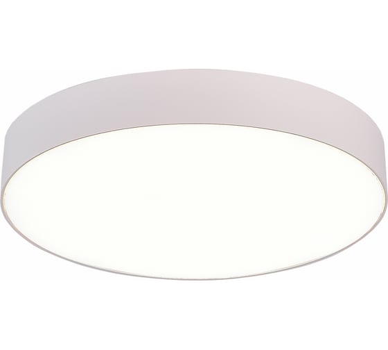 Изображение товара Накладной светильник ST luce ST606.542.48