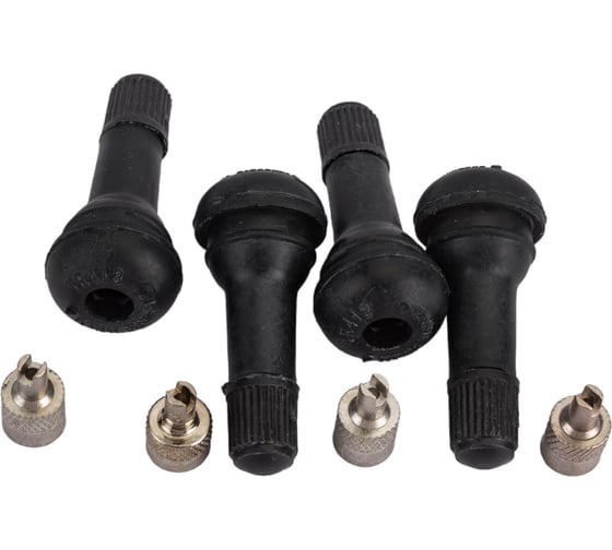 Изображение товара Комплект ниппелей с колпачками для шин Riginal TR14/R15/R16/R17 RG3100002
