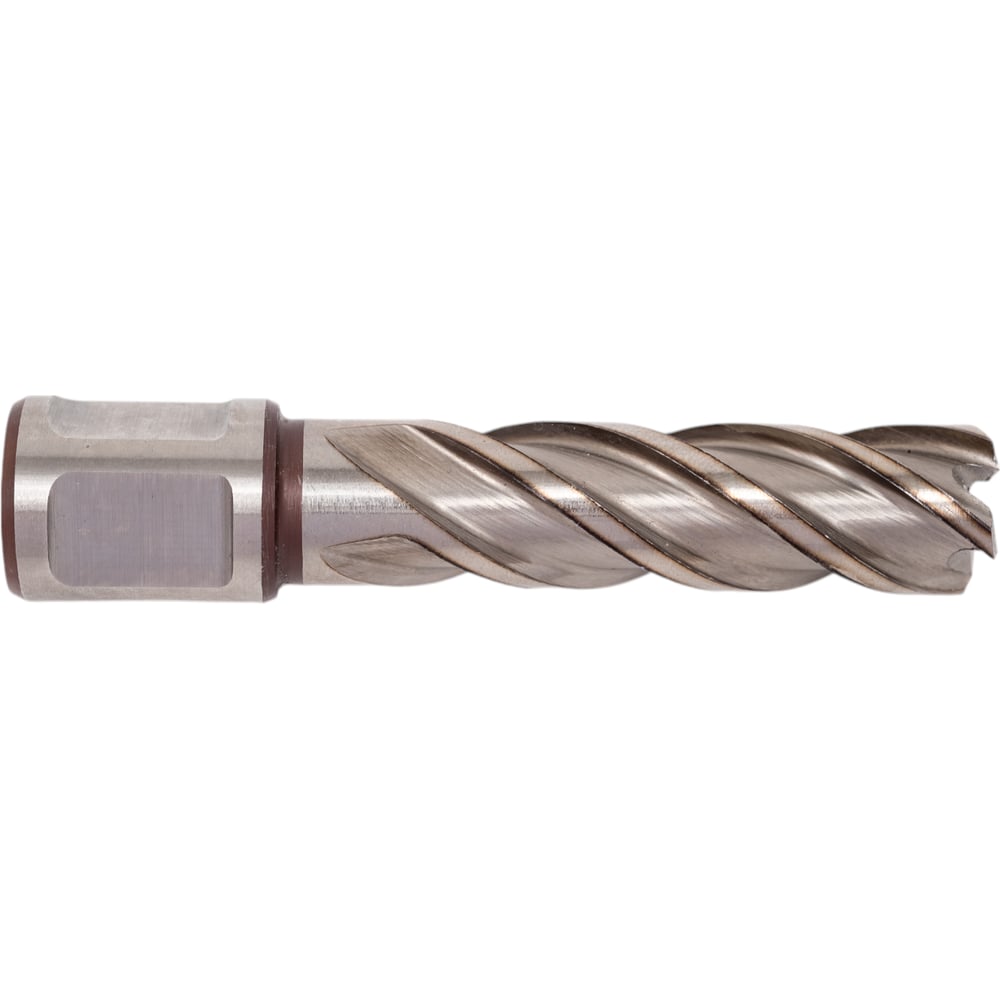 Изображение товара Фреза кольцевая HSS 16x55 мм FE POWERTOOLS FE5516 для металла и дерева