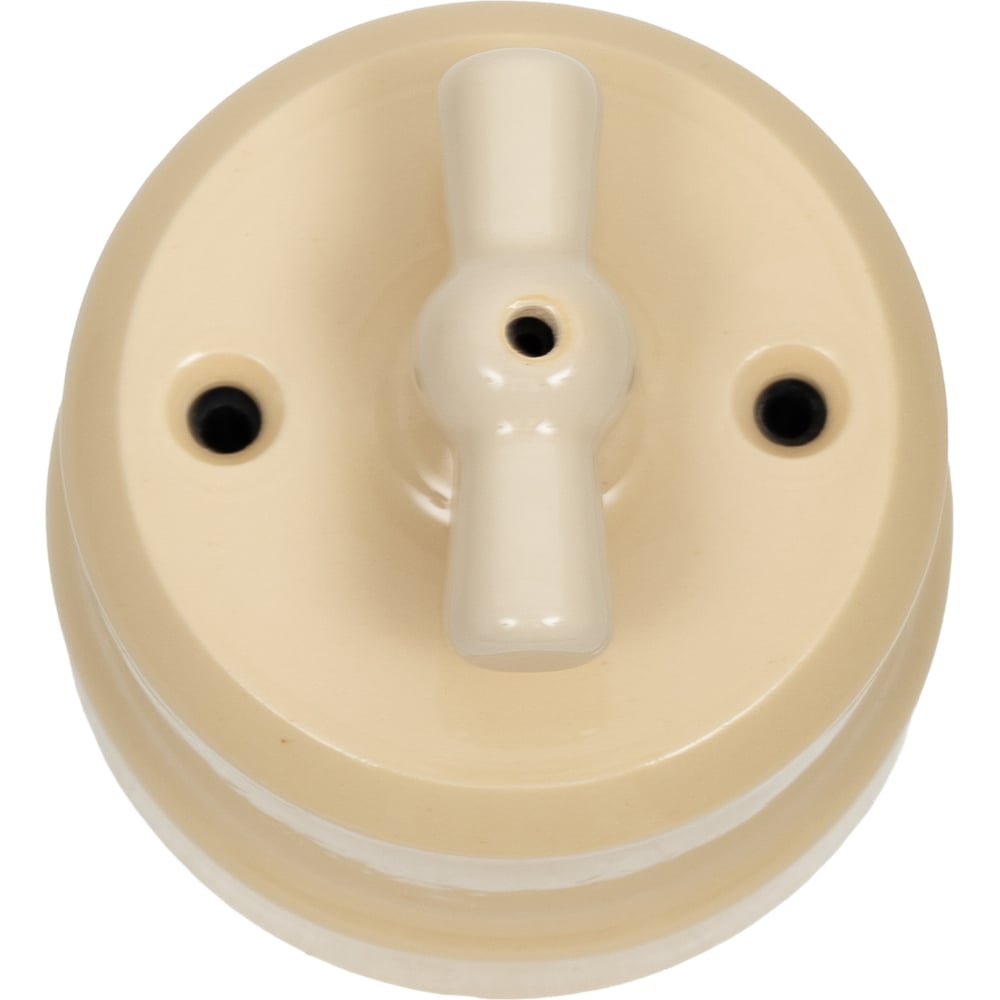 Изображение товара Поворотный выключатель фарфоровый 2-клавишный серия Аврора GE70403-02