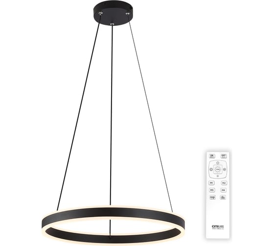 Изображение товара Подвесная люстра с пультом Citilux Дуэт LED Чёрная CL719501