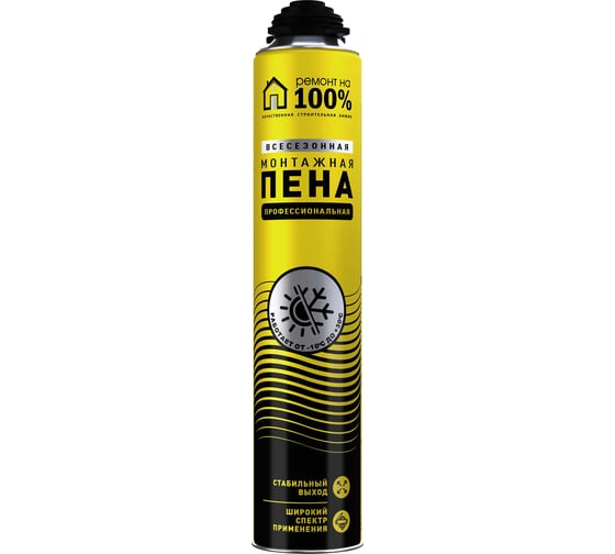 Изображение товара Монтажная пистолетная всесезонная бытовая пена Ремонт на 100% RPFWJ00021