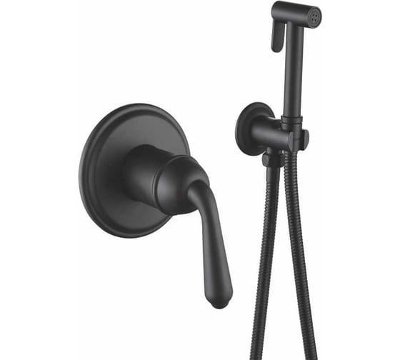 Изображение товара Встроенный гигиенический душ Rose R0205H