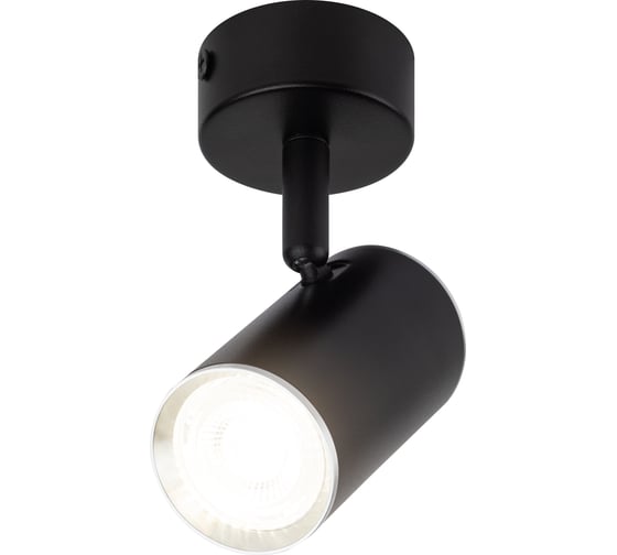 Изображение товара Настенно-потолочный спот ЭРА OL35 BK MR16 GU10 IP20 черный, хром Б0056362