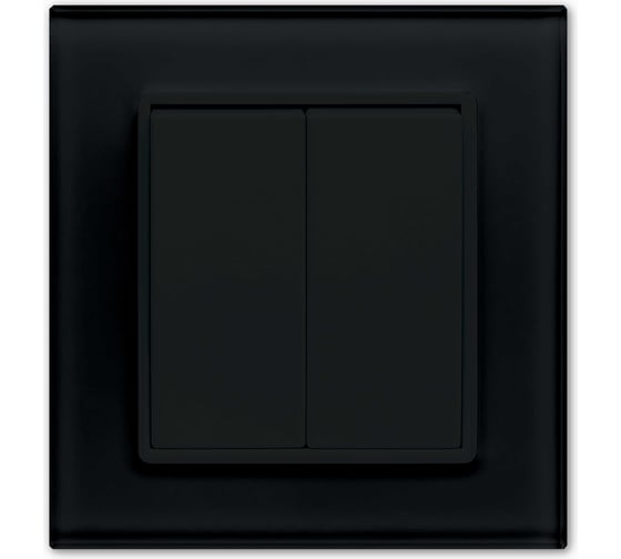 Изображение товара Выключатель Metronex Electric Exclusive Black двухклавишный FVK050120CHR