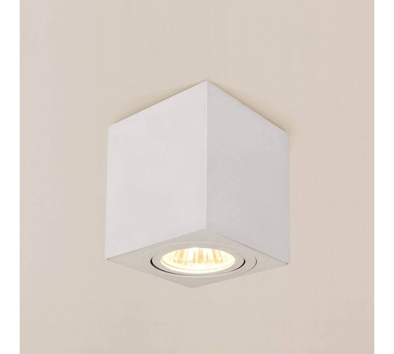 Изображение товара Накладной поворотный светильник Citilux Дюрен белый CL538211