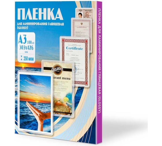 Изображение товара Пленка Office Kit 303x426, 250 мкм, 100 шт. PLP12130-1