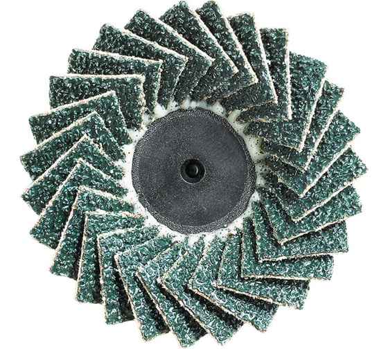 Изображение товара Диск шлифовальный пластинчатый 50 мм, зернистость 60 Eyltool 52 426 60