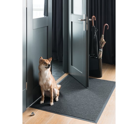 Изображение товара Придверный коврик Велий венера, графит, 80x120 В18И0812