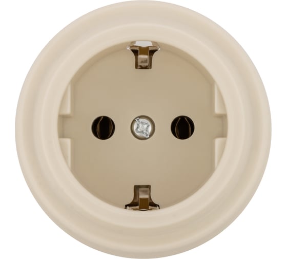 Изображение товара Розетка TDM ELECTRIC 2П+З 16А 250В сл. кость «Виви» SQ1820-1317