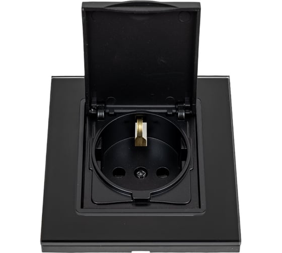 Изображение товара Розетка Metronex Electric Exclusive Black одинарная с заземлением с крышкой FRZMT040007CHR