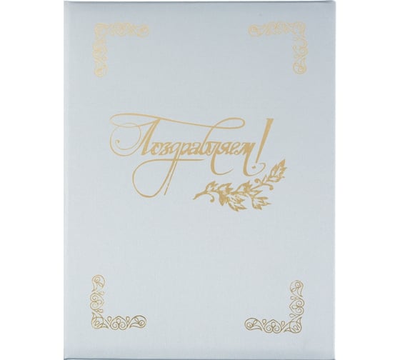 Изображение товара Адресная папка ООО Комус поздравляем танго серебро A4 162531