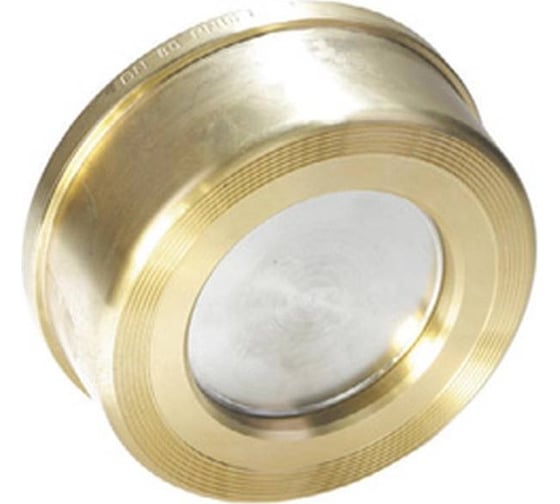 Изображение товара Обратный межфланцевый клапан Giacomini DN100 R60WY010