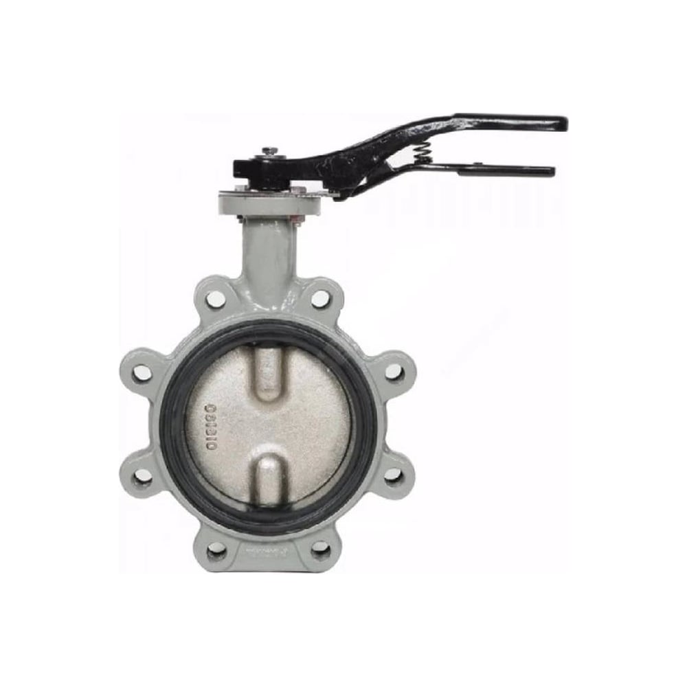 Изображение товара Дисковый поворотный затвор с проушинами Giacomini DN125 R59FLX012