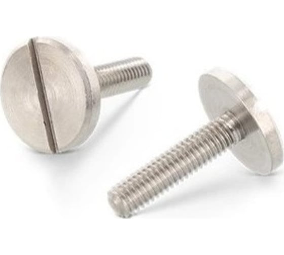 Изображение товара Винт ЦКИ DIN 921, М10x20, Ц, 2 шт. 54849