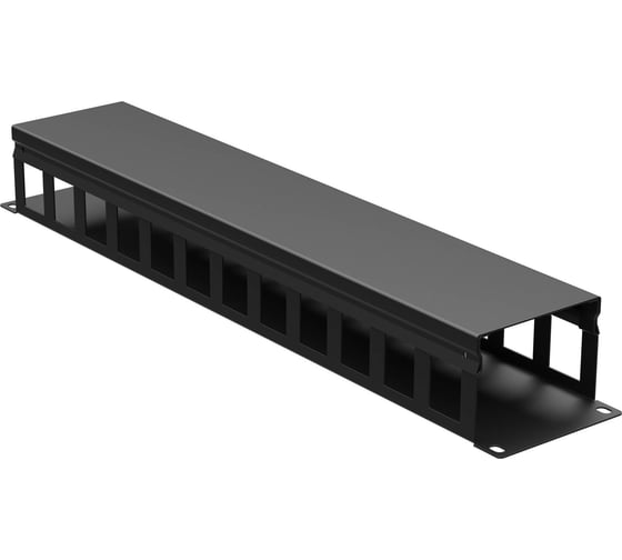 Изображение товара Кабельный органайзер с крышкой DKC 2u, глубина 60 мм, для 19" it-корпусов, ral9005 R5CP1962HEB