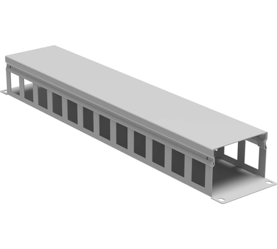Изображение товара Кабельный органайзер с крышкой DKC 2u, глубина 60 мм, для 19" it-корпусов, ral7035 R5CP1962HE