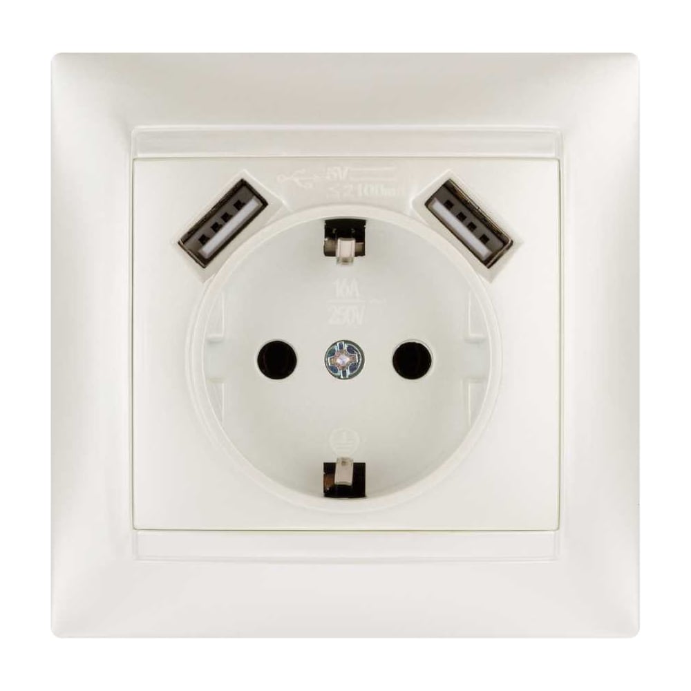 Изображение товара Розетка с USB портами TDM ELECTRIC 2П+З 16А 250В перламутр Лама SQ1815-0842