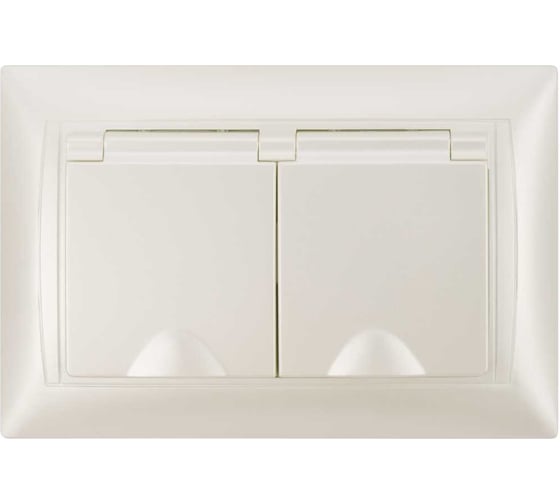 Изображение товара Розетка двойная с защитными шторками и крышкой с заземлением 16А 250В IP44 перламутр серия "Лама" TDM ELECTRIC SQ1815-0860