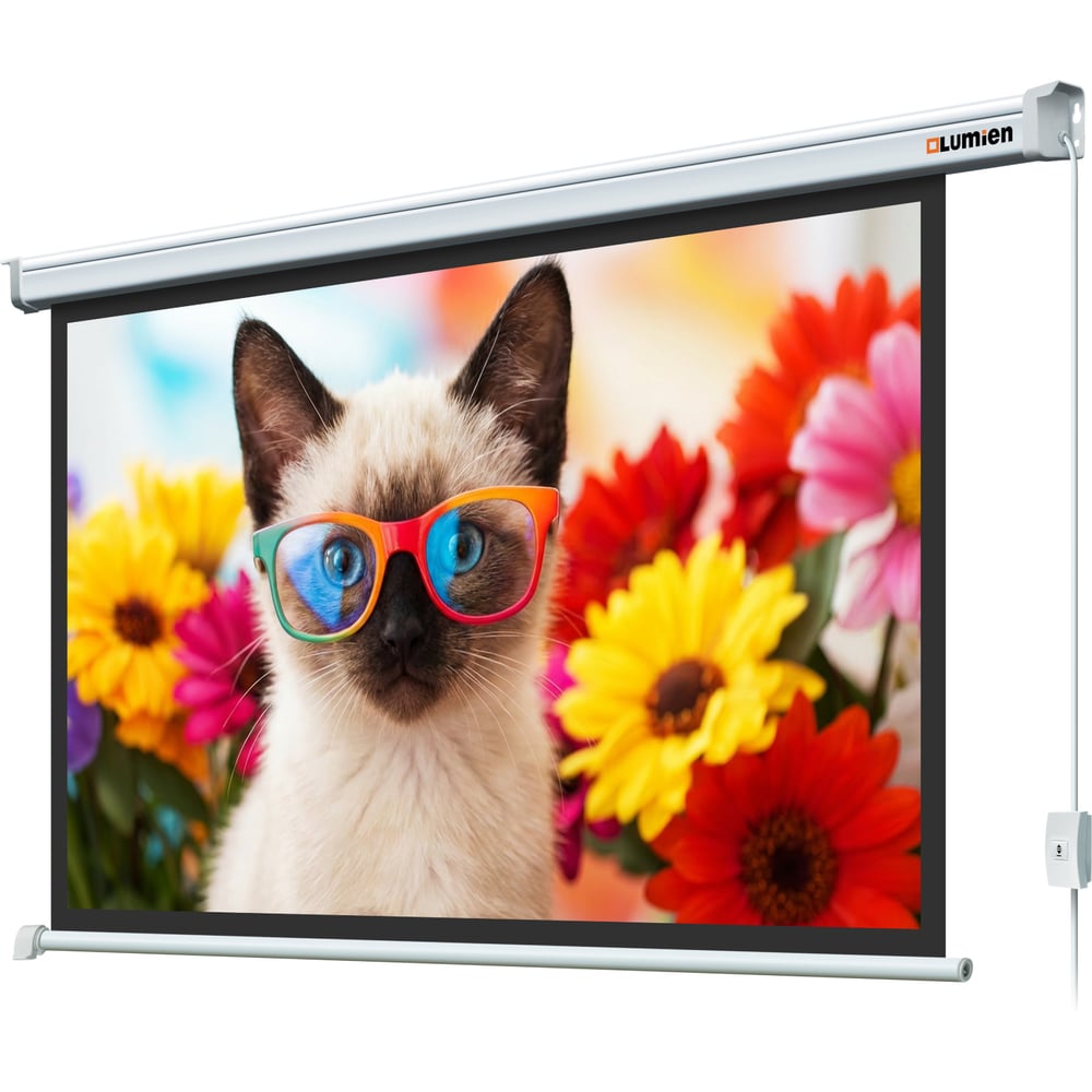 Изображение товара Экран с электроприводом Lumien Eco Control 153x272 см белое матовое