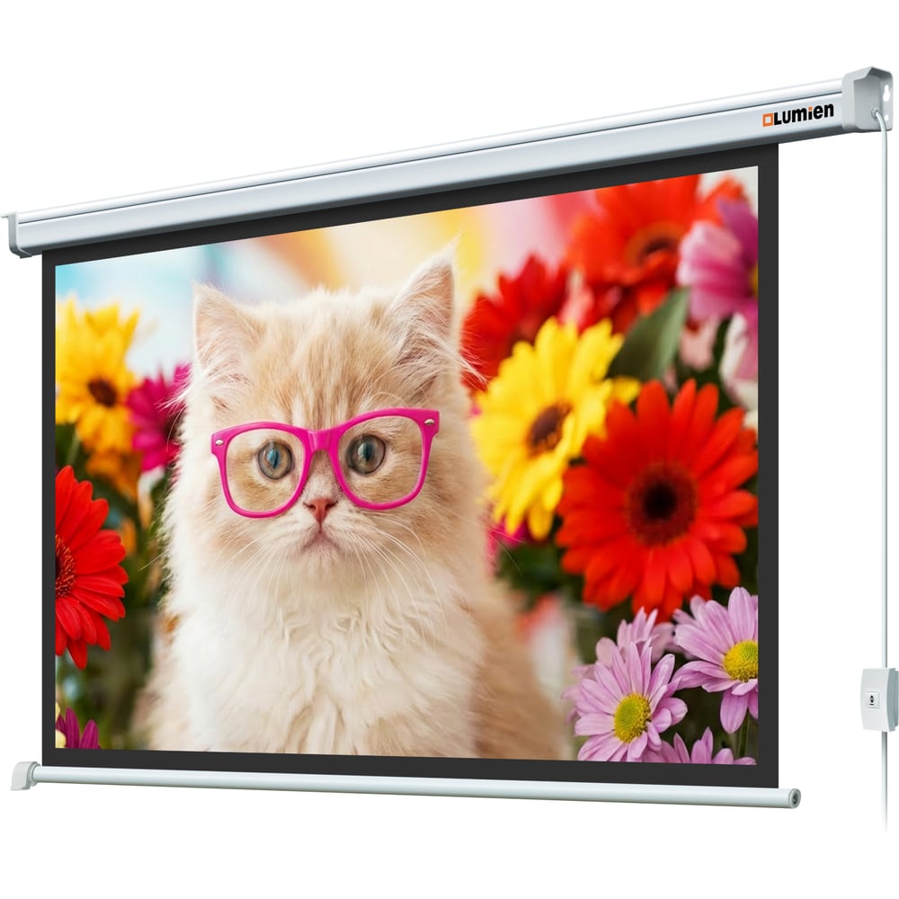 Изображение товара Экран с электроприводом Lumien LEC-100112 Eco Control 198x300 см, рабочая область 164x292 см, Matte White, верхняя кайма 17 см, черная кайма 6 121567