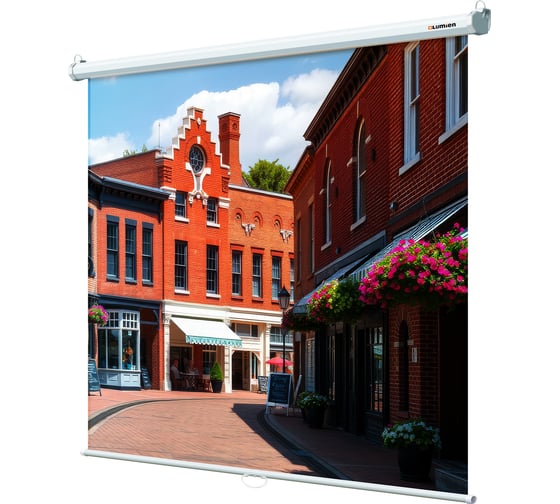 Изображение товара Настенный экран Lumien LEP-100103 Eco Picture 200x200 см, Matte White, восьмигранный корпус, возможность потолочного и настенного крепления 6 49120