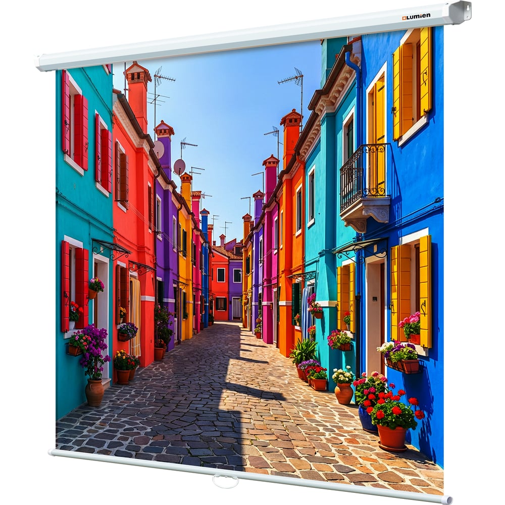 Изображение товара Настенный экран Lumien LEP-100101 Eco Picture 150x150 см белый Изображение товара Настенный экран Lumien LEP-100101 Eco Picture 150x150 см белый