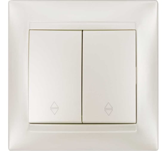 Изображение товара Выключатель на 2 направления 2 клавишный TDM ELECTRIC 10А перламутр серия "Лама" SQ1815-0807