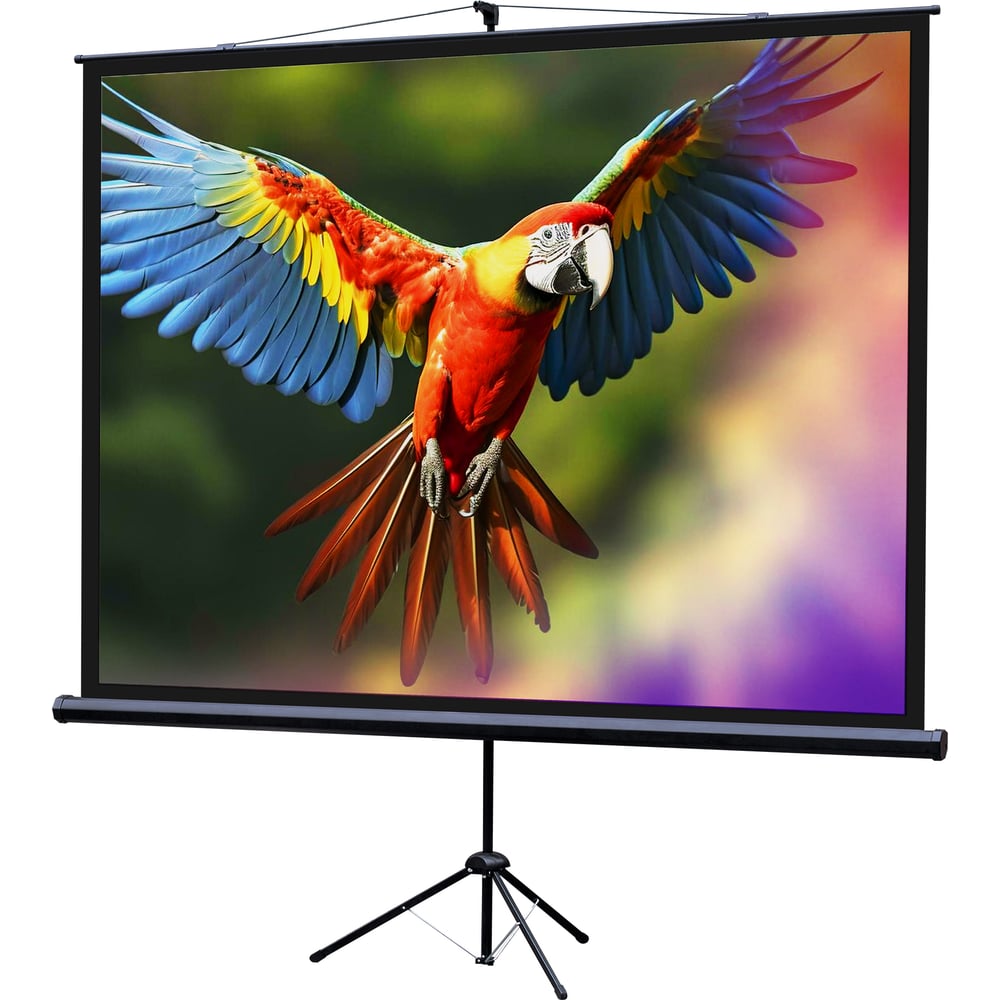 Изображение товара Экран на штативе Lumien LEV-100111 Eco View 153x203 см, рабочая область 147x197 см, Matte White, 4:3 6 121538