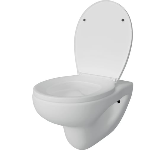 Изображение товара Подвесной унитаз Teymi Hanna Pro безободковый, сиденье микролифт T40901 ЦБ-00267263