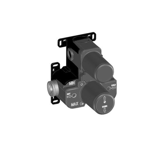 Изображение товара Внутренняя часть встраиваемого термостатического смесителя для душа Mamoli EUCLIDE на 2 выхода, unpolished 271000000027
