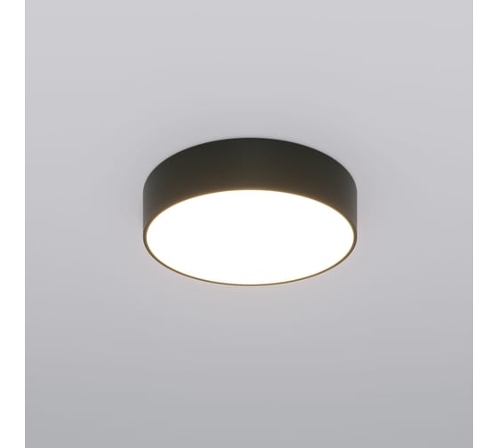 Изображение товара Потолочный светильник Eurosvet 90318/1 черный a063079