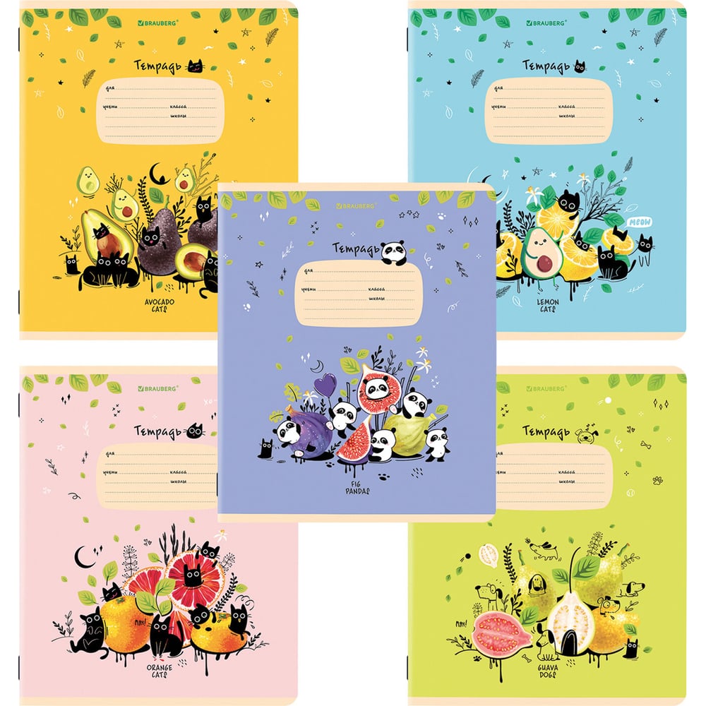 Тетради BRAUBERG