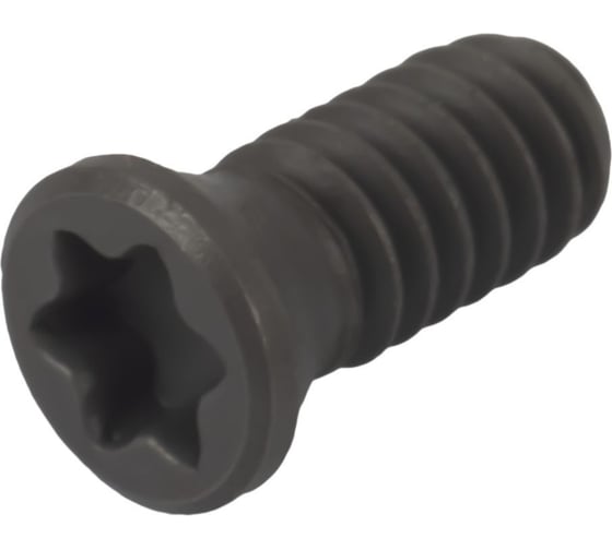 Изображение товара Винт TL60 Standard M2.2x5.5 Debever Machining Solutions DB-S-TL60M2255