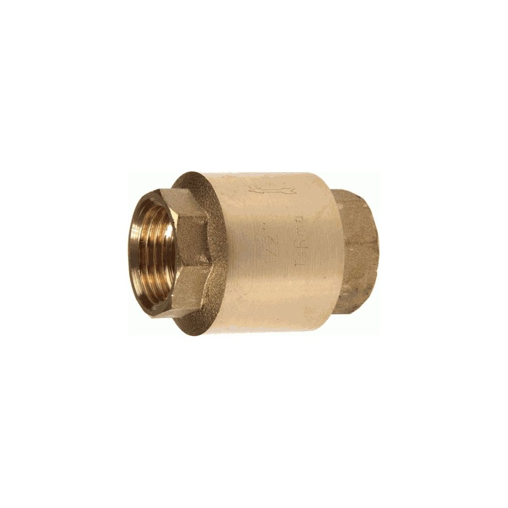 Изображение товара Обратный клапан Terma 2" (33946) 33026