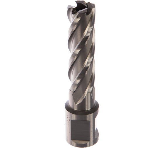 Изображение товара Фреза кольцевая HSS (15x50 мм) ROTORICA RT.4215015